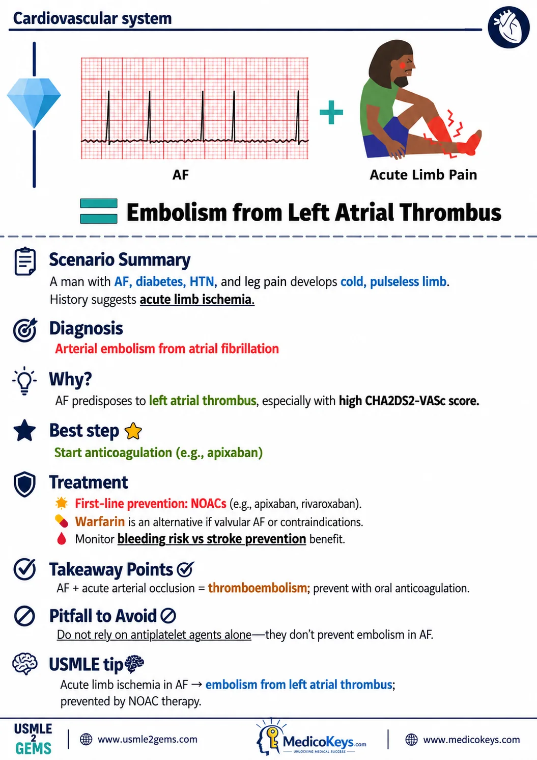 Real USMLE2Gems free sample 12: Embolism from Left Atrial Thrombus — Cardiovascular System